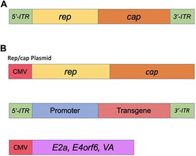 Therapeutic modulation of gene expression in the disease state: Treatment strategies and approaches for the development of next-generation of the epigenetic drugs